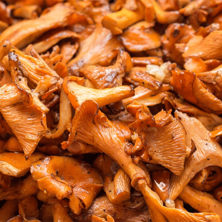 Cooked Chanterelles